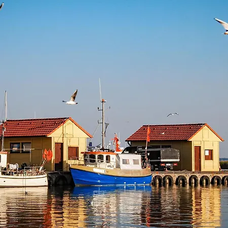 Flotte Biene Buggow Nahe Usedom Rubkow