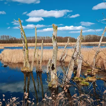 Flotte Biene Buggow Nahe Usedom Hébergement de vacances