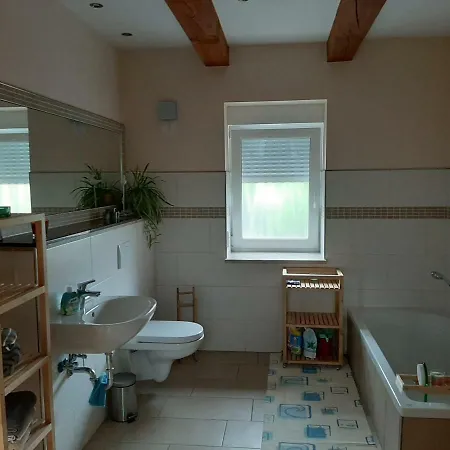 Flotte Biene In Buggow