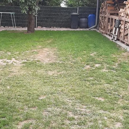 Dom wakacyjny Flotte Biene In Buggow