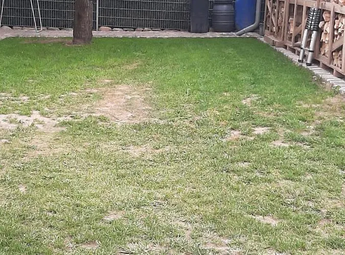 Ferienhaus Flotte Biene In Buggow